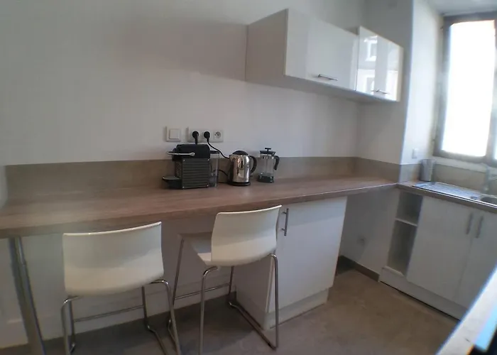 Daire App Cosy 4 Pers Mulhouse